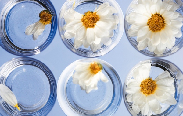 Любит не любит