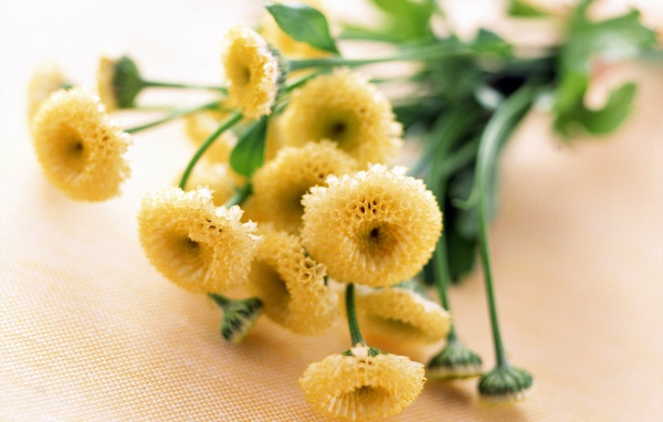 8 марта желтые цветочки