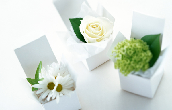 Сюрприз на 8 марта