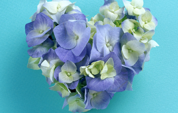 Сердечко из цветов