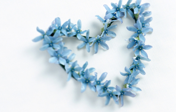 Сердечко из голубых цветов
