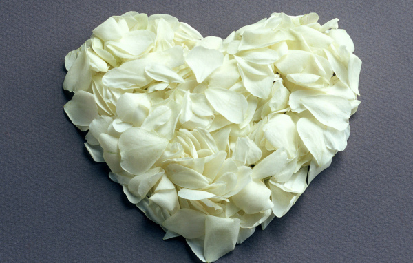 Сердечко из белых лепестков
