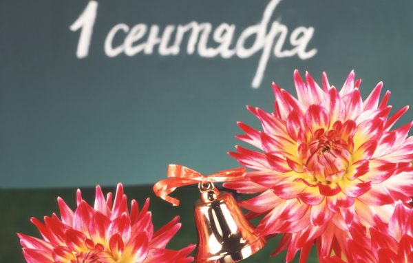 День знаний