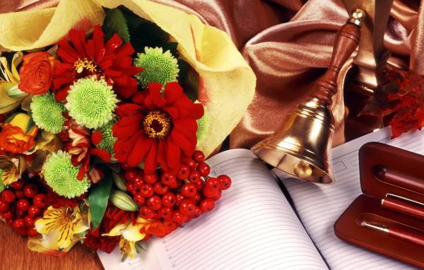 Начало обучения