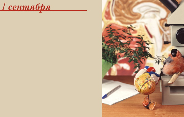 Начало учебного года