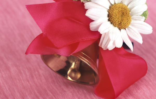 Начало учебы