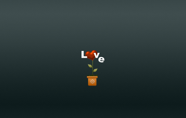 Цветок любви