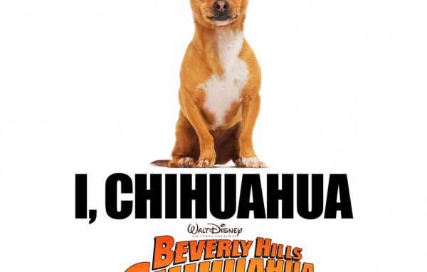 Крошка из Беверли-Хиллз / Beverly Hills Chihuahua
