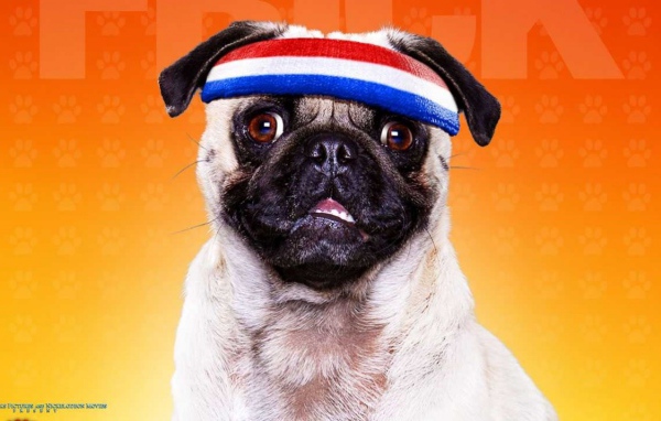 Отель для собак / Hotel for Dogs 2009