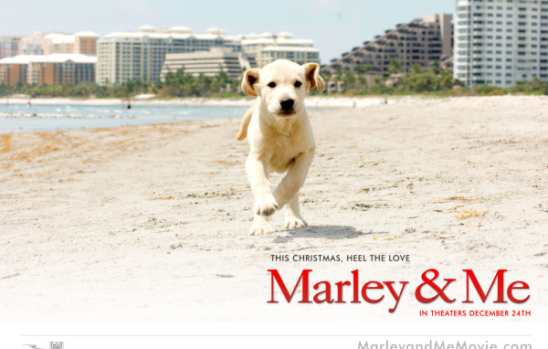 Марли и я / Marley & Me рождественская комедия