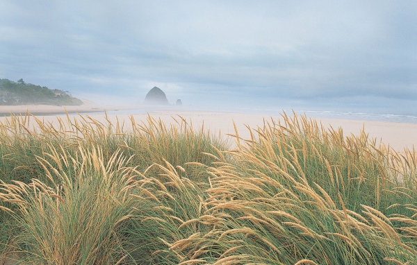 На берегу моря