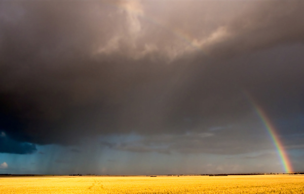 Радуга после дождя
