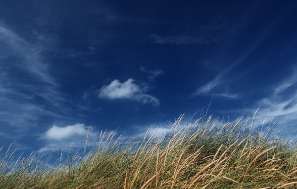 Голубое небо