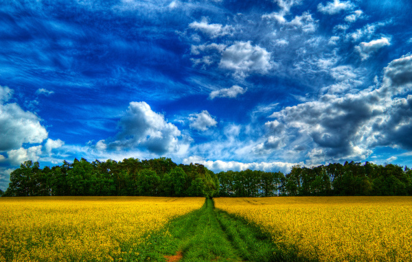 Сказочное небо