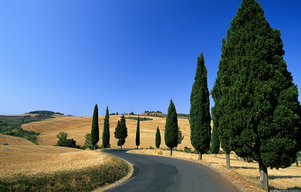 Деревенская дорога