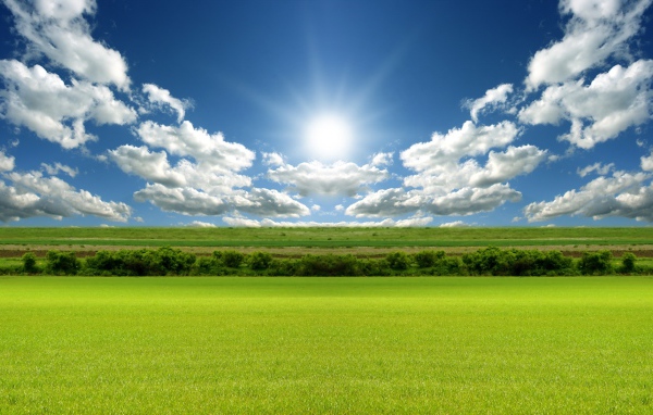 Зеленое поле под лазурным небом