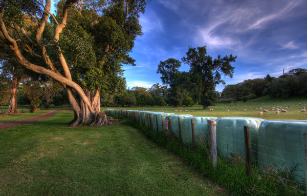 Зеленый парк