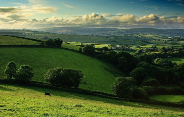 Деревенские поля