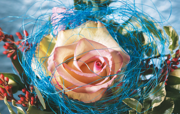 Украшенная роза