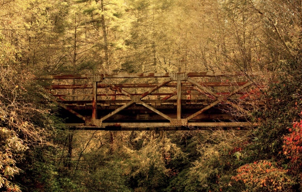 Железнодорожный мост в лесу