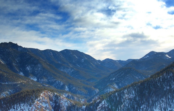 Лес в горах