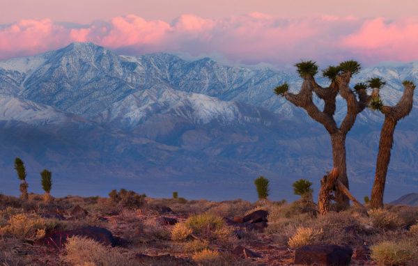 Горная гряда