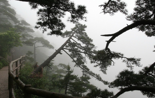 Горная дорожка