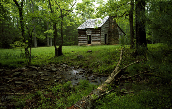 Дом на лесной поляне