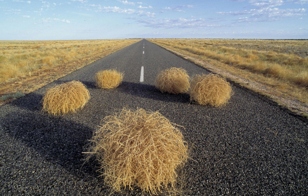 Дорога через пустыню