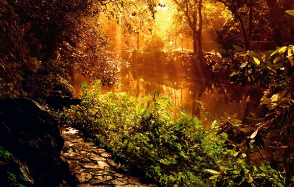 Красивый закат у лесной реки