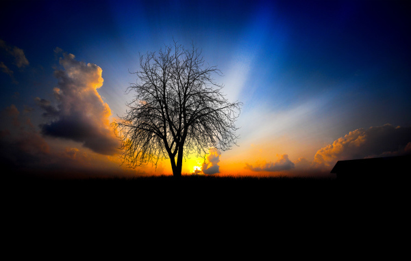 На закате дня