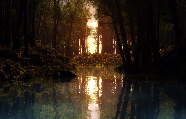 Лесная река на закате