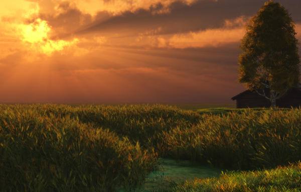 Летний вечер