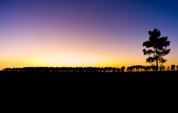Последний луч света