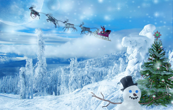 Морозное Новогоднее утро