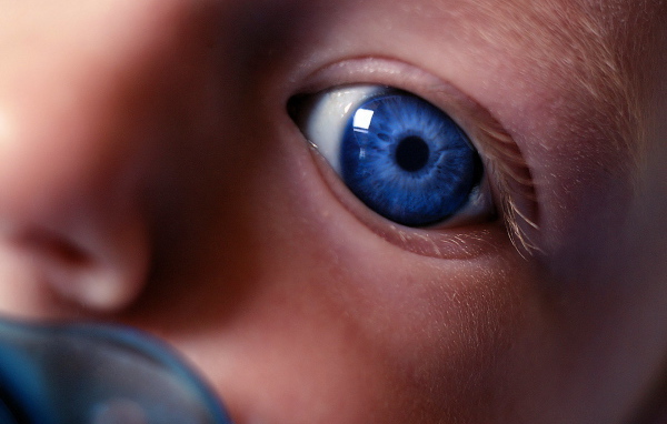 Взгляд на незнакомый мир