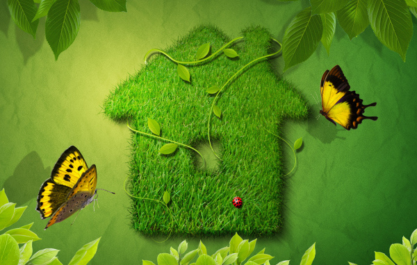 Зеленый домик