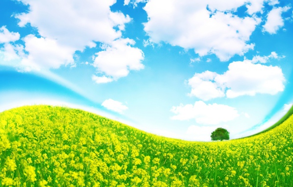 Крутая полянка