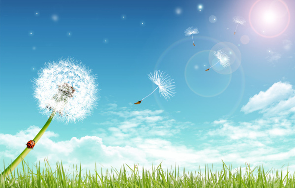 Летний день