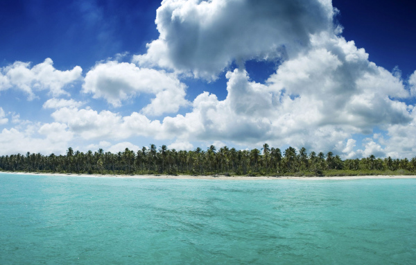 Гавайский берег