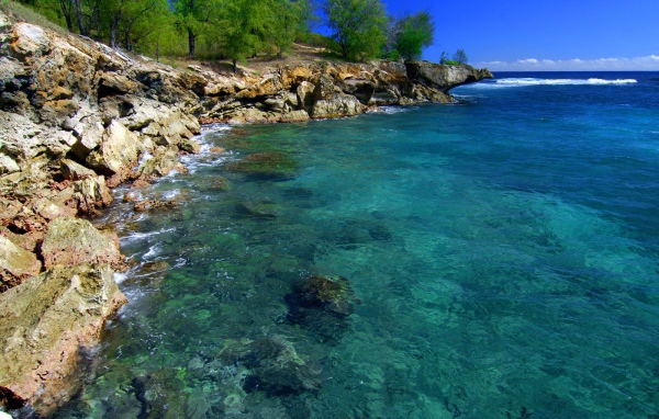 Скалистый берег