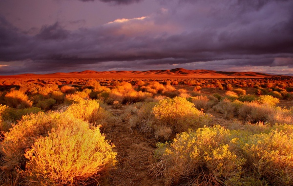 долина Antelope