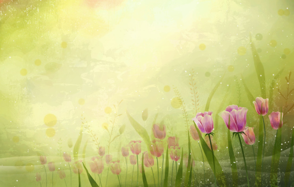 Поле цветов