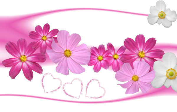 Цветы и сердца