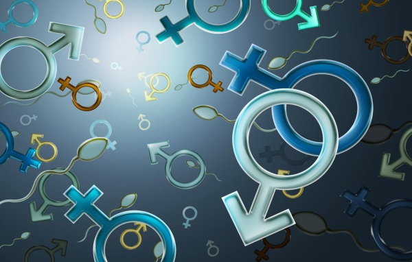 Мужской и женские знаки