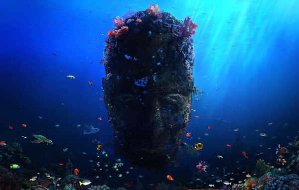 Невиданный коралл