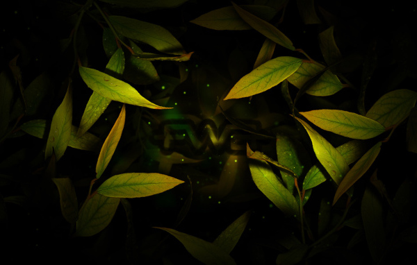 Виртуальные листья