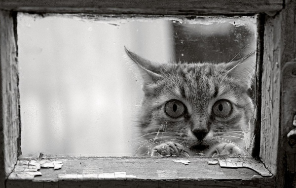 Возле окошка