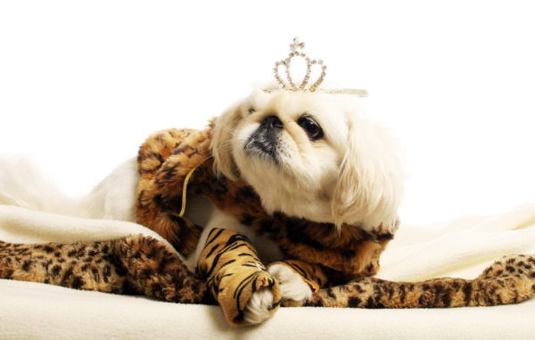 Маленькая принцесса