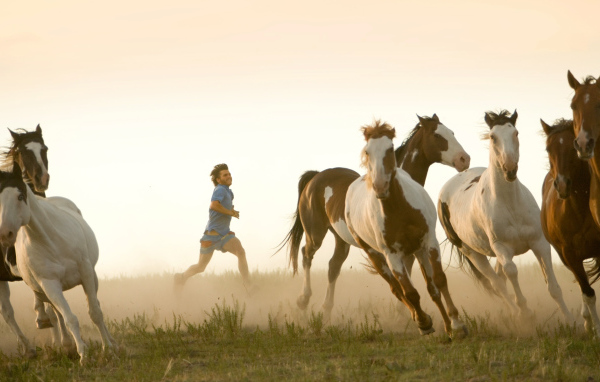 Пробежка с табуном